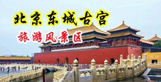 黑丝舔b网站中国北京-东城古宫旅游风景区